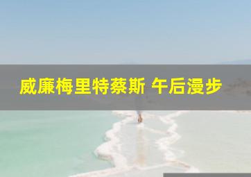 威廉梅里特蔡斯 午后漫步